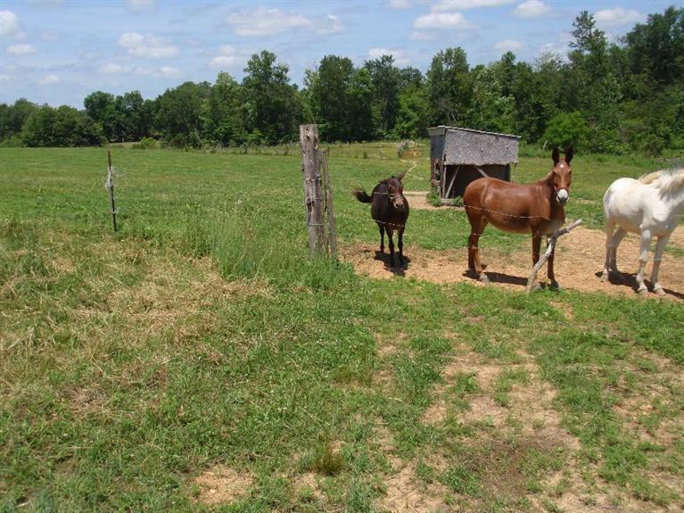 11 Liberty Road Eubank, KY 42567 - Photo 8 of 15 Additional Photo