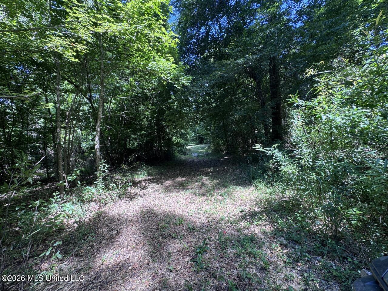 Pam Road Aimwell, LA 71401 - Photo 24 of 38 IMG_3863 Large