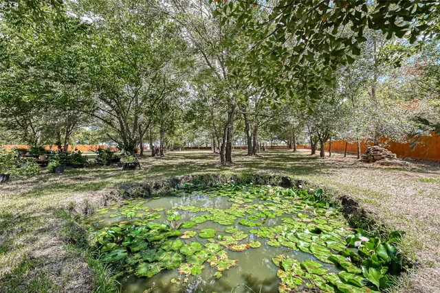 a view of outdoor space with trees