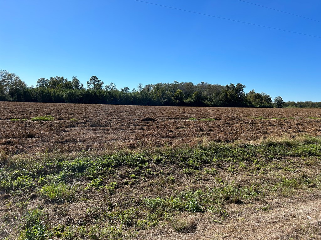 5-ac 5-ac Road Cottonwood, AL 36320 - Photo 19 of 23