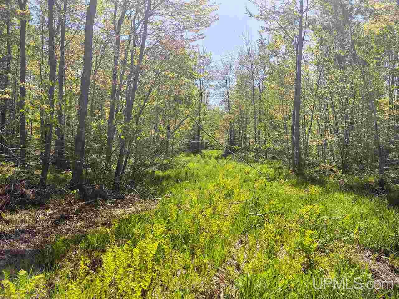 Tbd-parcel Point Abbaye Road Lanse, MI 49946 - Photo 21 of 25