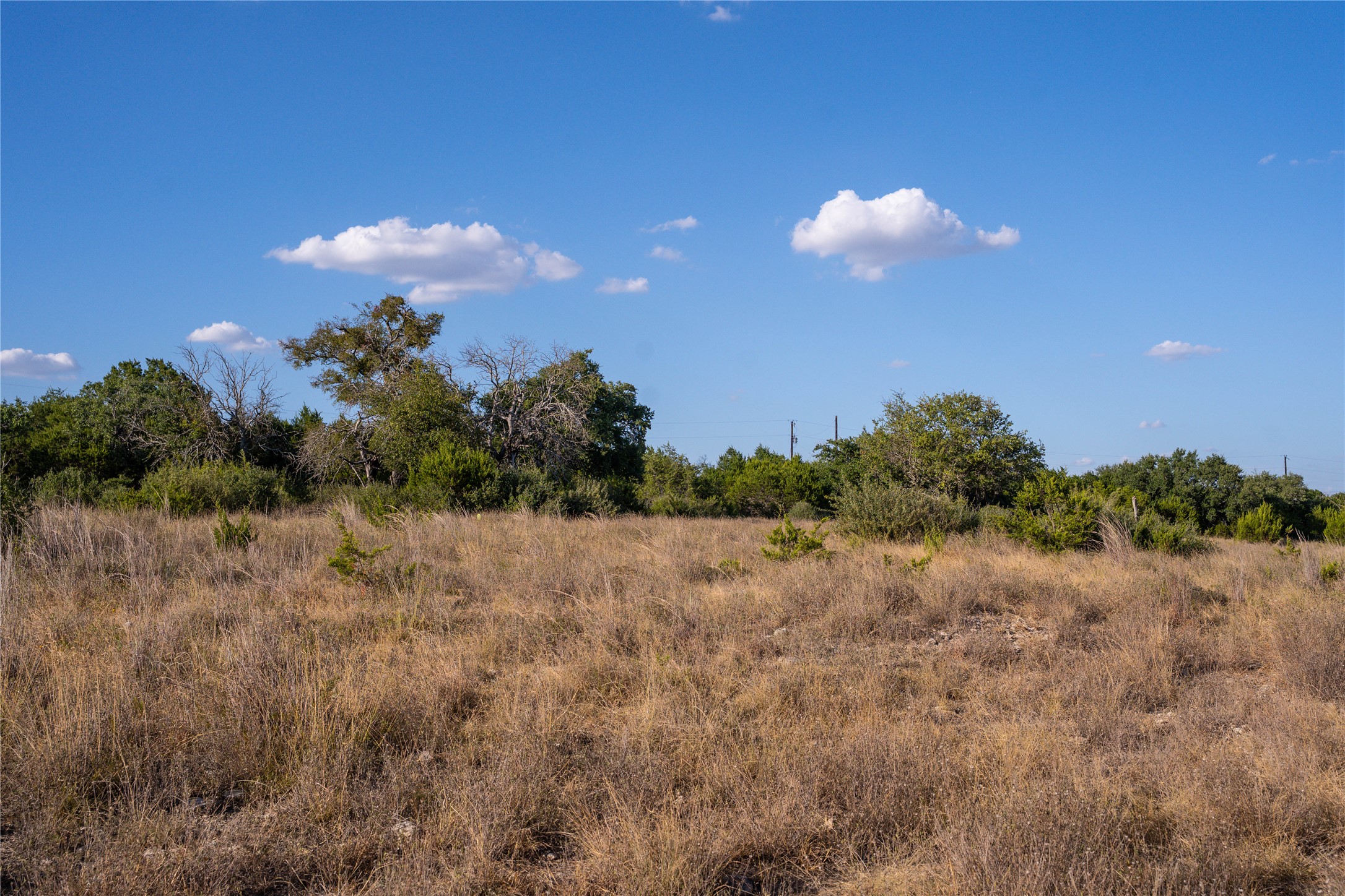 4719 Private Road, Unit 4718 Kempner, TX 76539 - Photo 34 of 38 Looking towards the street, about mid lot. Plenty of room to build