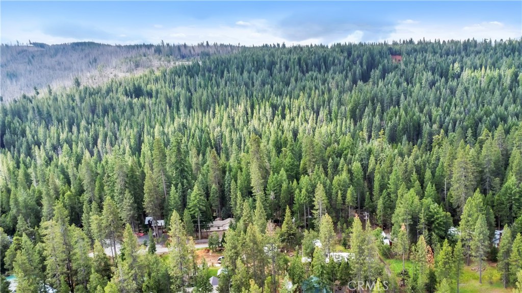 7515 Abner Lane Forest Ranch, CA 95942 - Photo 29 of 65