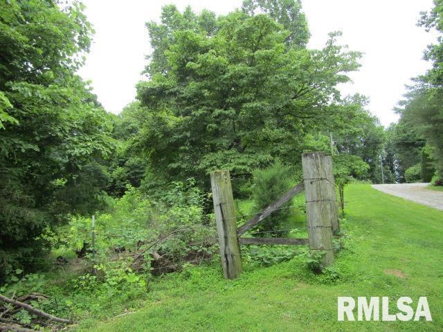 72 Shewmaker Road Cave In Rock, IL 62919 - Photo 43 of 43 a view of a lush green forest