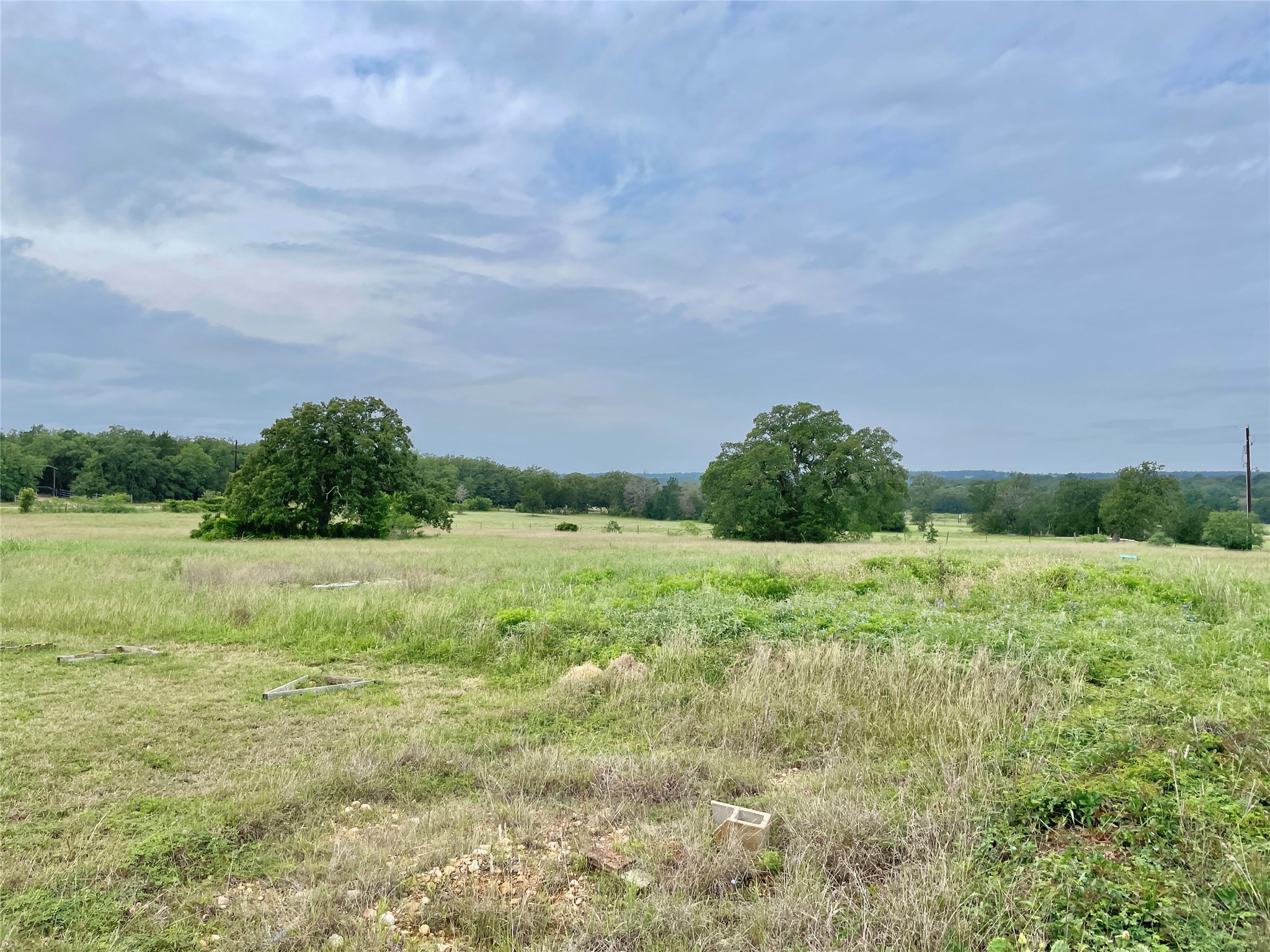 136 Fm 2239 Road Paige, TX 78659 - Photo 15 of 29 a big yard with lots of green space