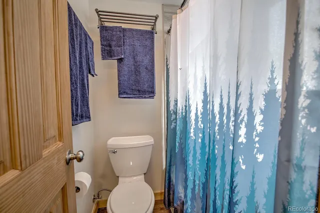 a bathroom with a toilet a sink and a shower curtain