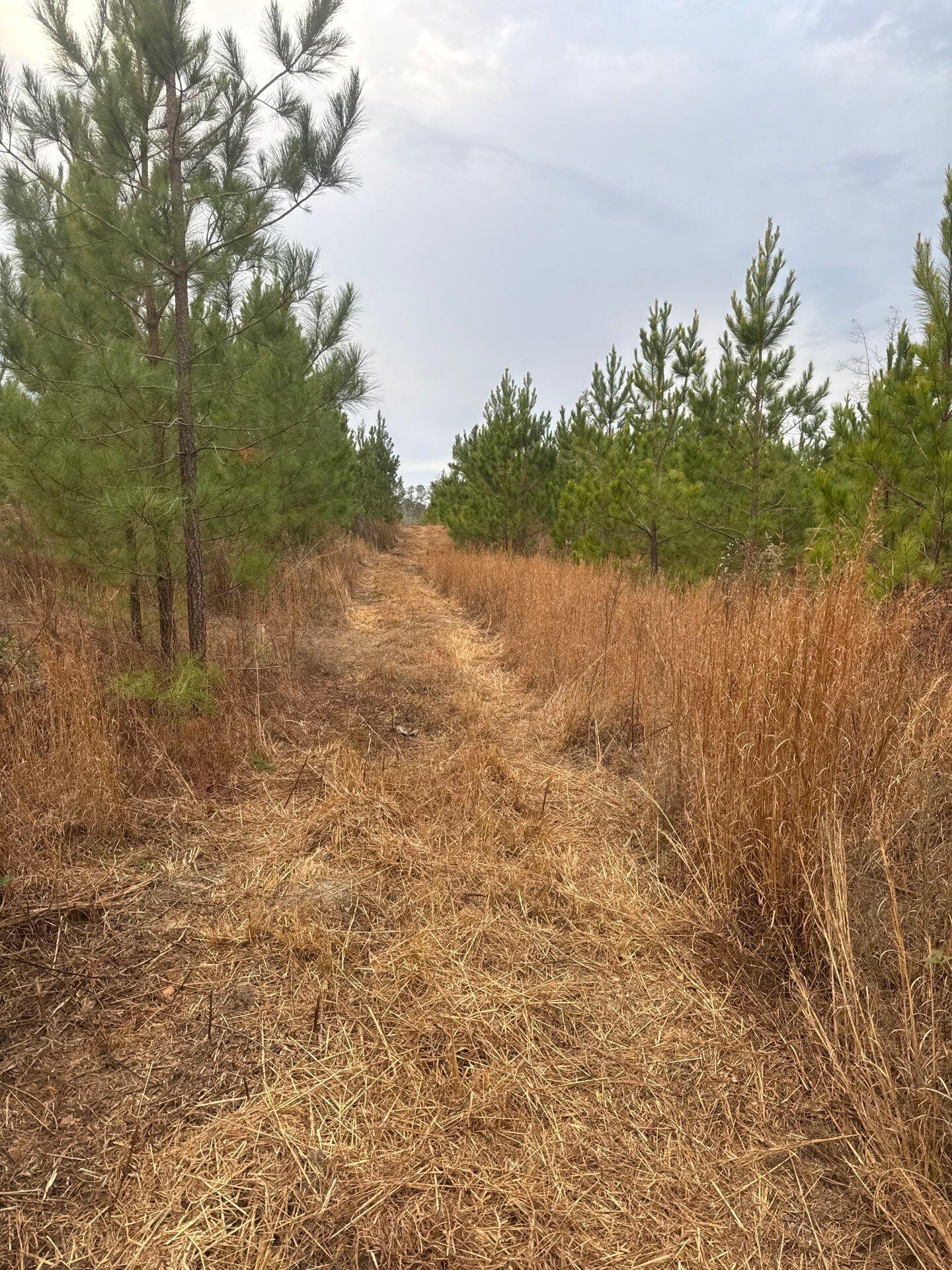12 Nurnberg Dr Road, Unit QBF 12 Leesville, SC 29070 - Photo 1 of 16 9-Jan 02 2026 09_35pm-42JL