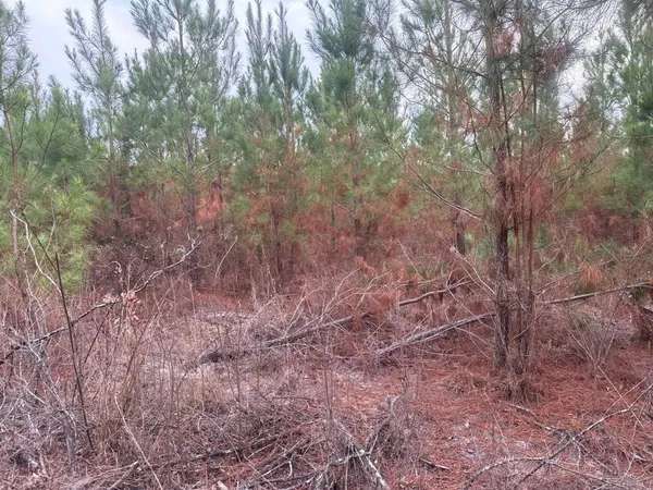 $89,900 | 12 Nurnberg Dr Road, Unit QBF 12, Leesville, SC 29070