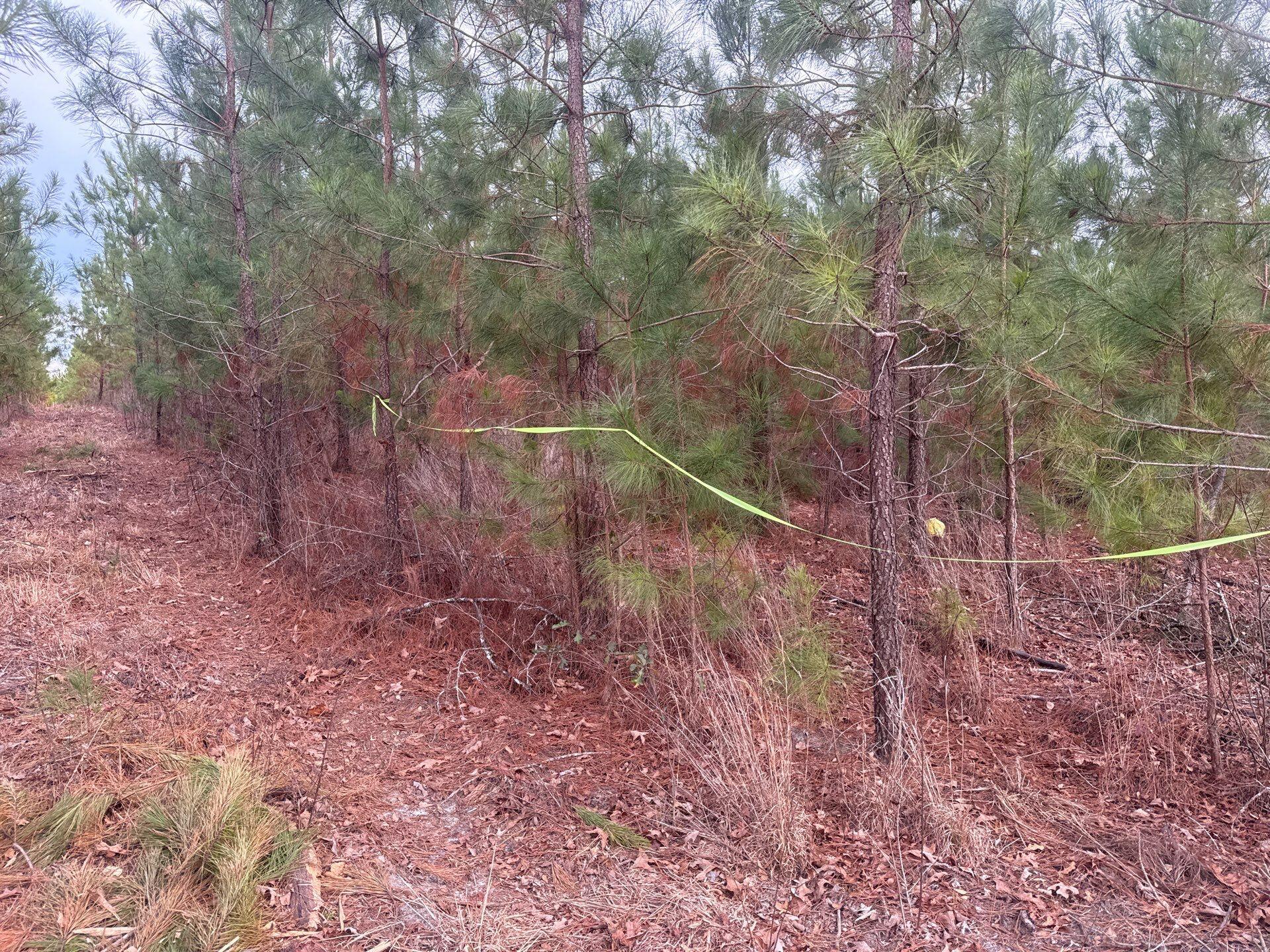 12 Nurnberg Dr Road, Unit QBF 12 Leesville, SC 29070 - Photo 12 of 16 5-Jan 02 2026 09_27pm-mg3P