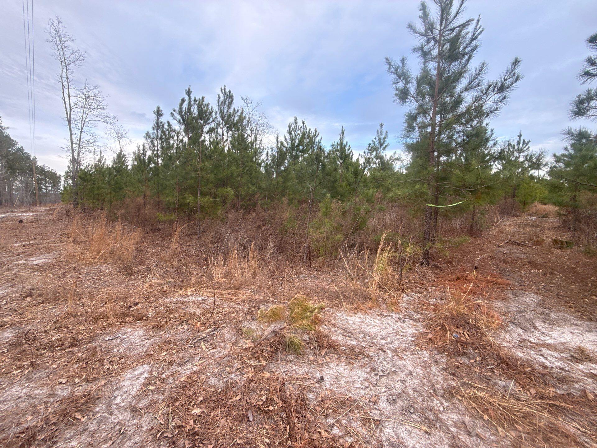 12 Nurnberg Dr Road, Unit QBF 12 Leesville, SC 29070 - Photo 13 of 16 4-Jan 02 2026 08_52pm-Y8BX