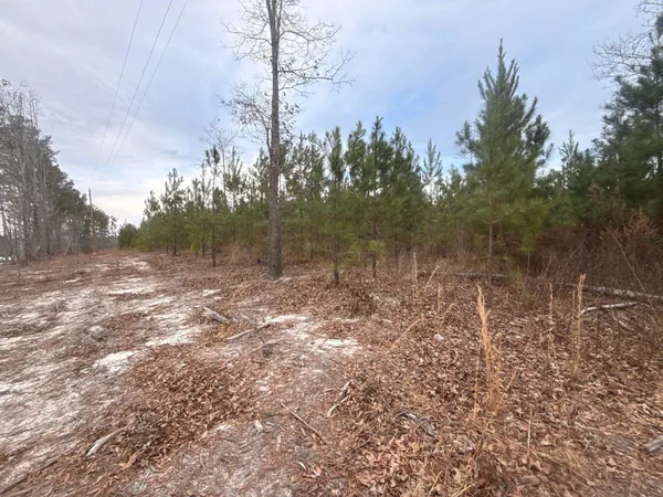 $89,900 | 12 Nurnberg Dr Road, Unit QBF 12, Leesville, SC 29070