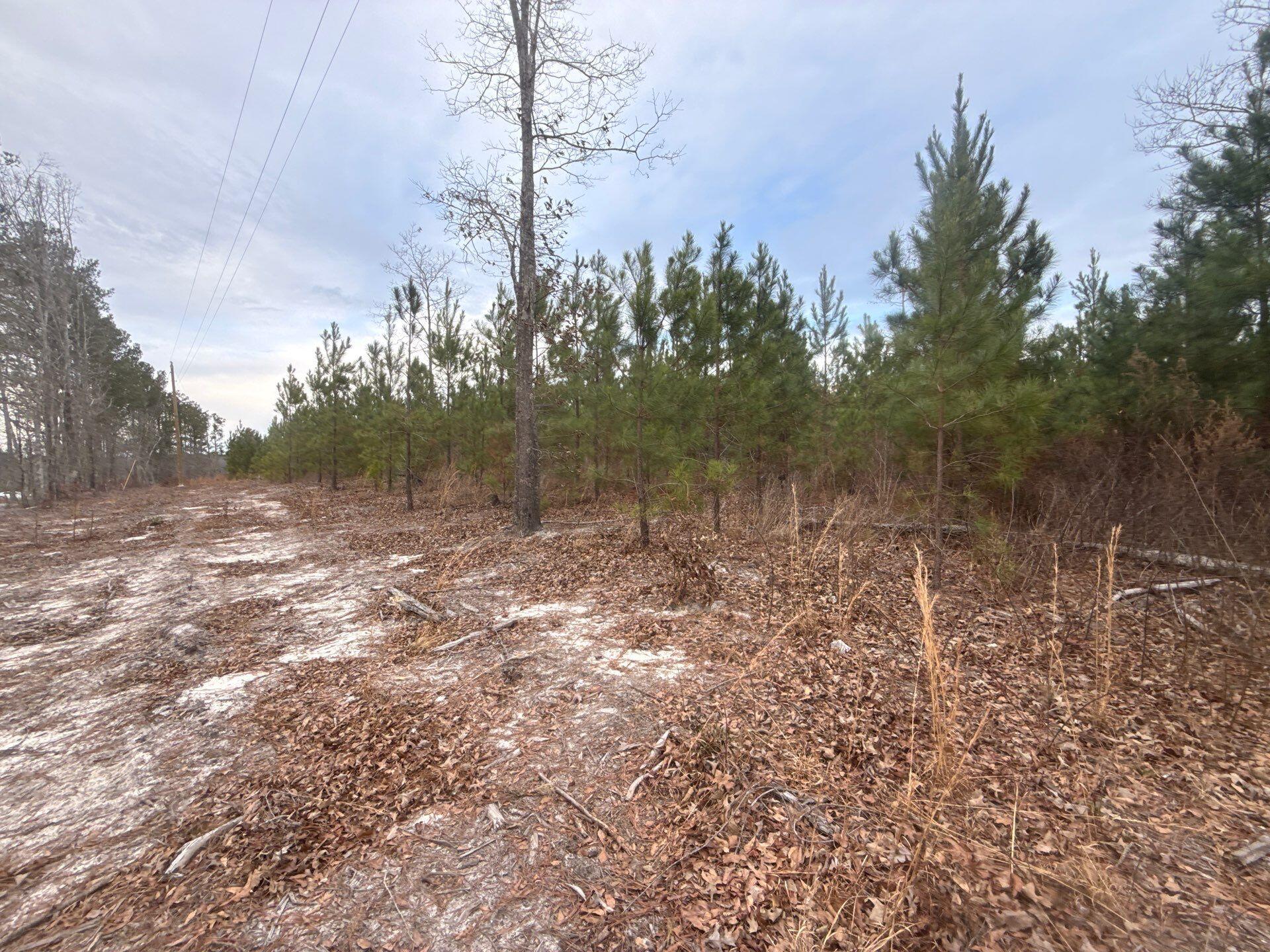 12 Nurnberg Dr Road, Unit QBF 12 Leesville, SC 29070 - Photo 14 of 16 3-Jan 02 2026 08_52pm-w9JM