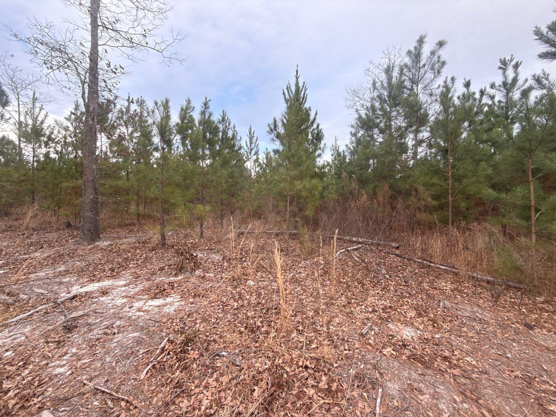 12 Nurnberg Dr Road, Unit QBF 12 Leesville, SC 29070 - Photo 15 of 16 2-Jan 02 2026 08_52pm-T3DF