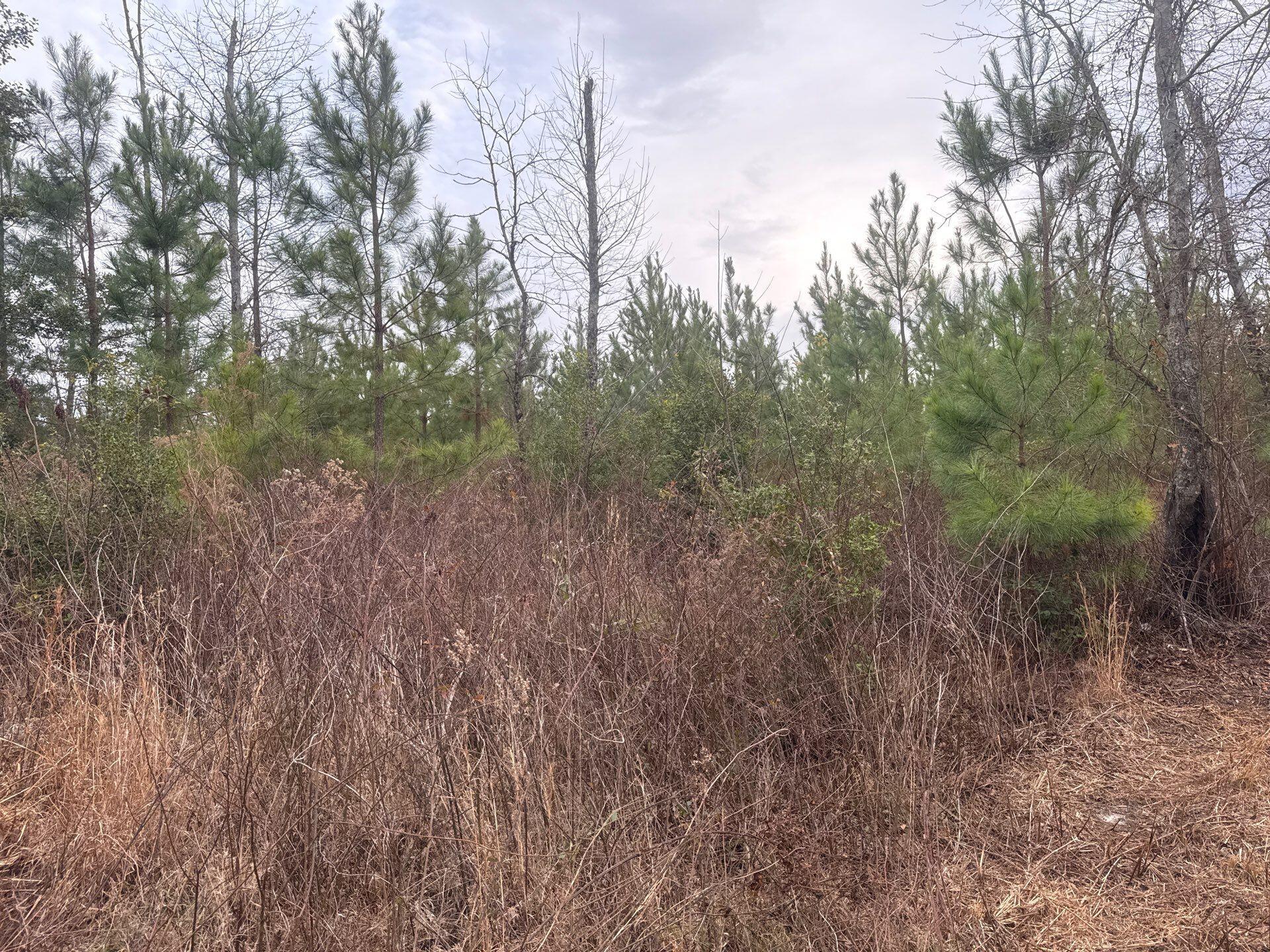 12 Nurnberg Dr Road, Unit QBF 12 Leesville, SC 29070 - Photo 2 of 16 8-Jan 02 2026 09_35pm-Y4S7
