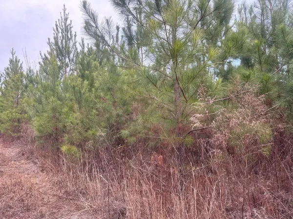 $89,900 | 12 Nurnberg Dr Road, Unit QBF 12, Leesville, SC 29070