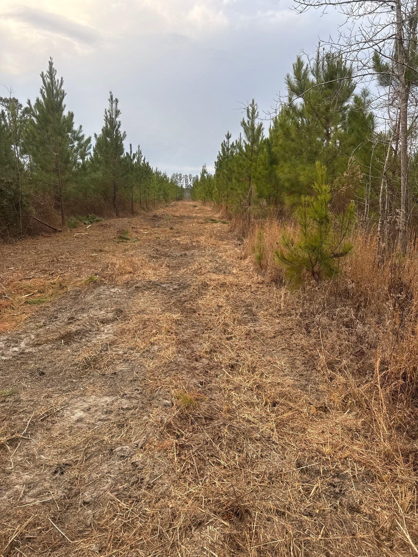 12 Nurnberg Dr Road, Unit QBF 12 Leesville, SC 29070 - Photo 6 of 16 4-Jan 02 2026 09_33pm-uryX