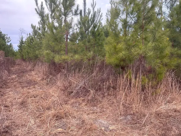 $89,900 | 12 Nurnberg Dr Road, Unit QBF 12, Leesville, SC 29070