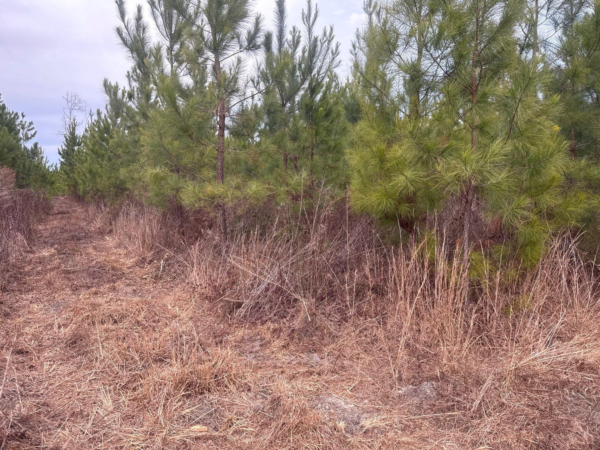 12 Nurnberg Dr Road, Unit QBF 12 Leesville, SC 29070 - Photo 7 of 16 3-Jan 02 2026 09_33pm-Zf4g