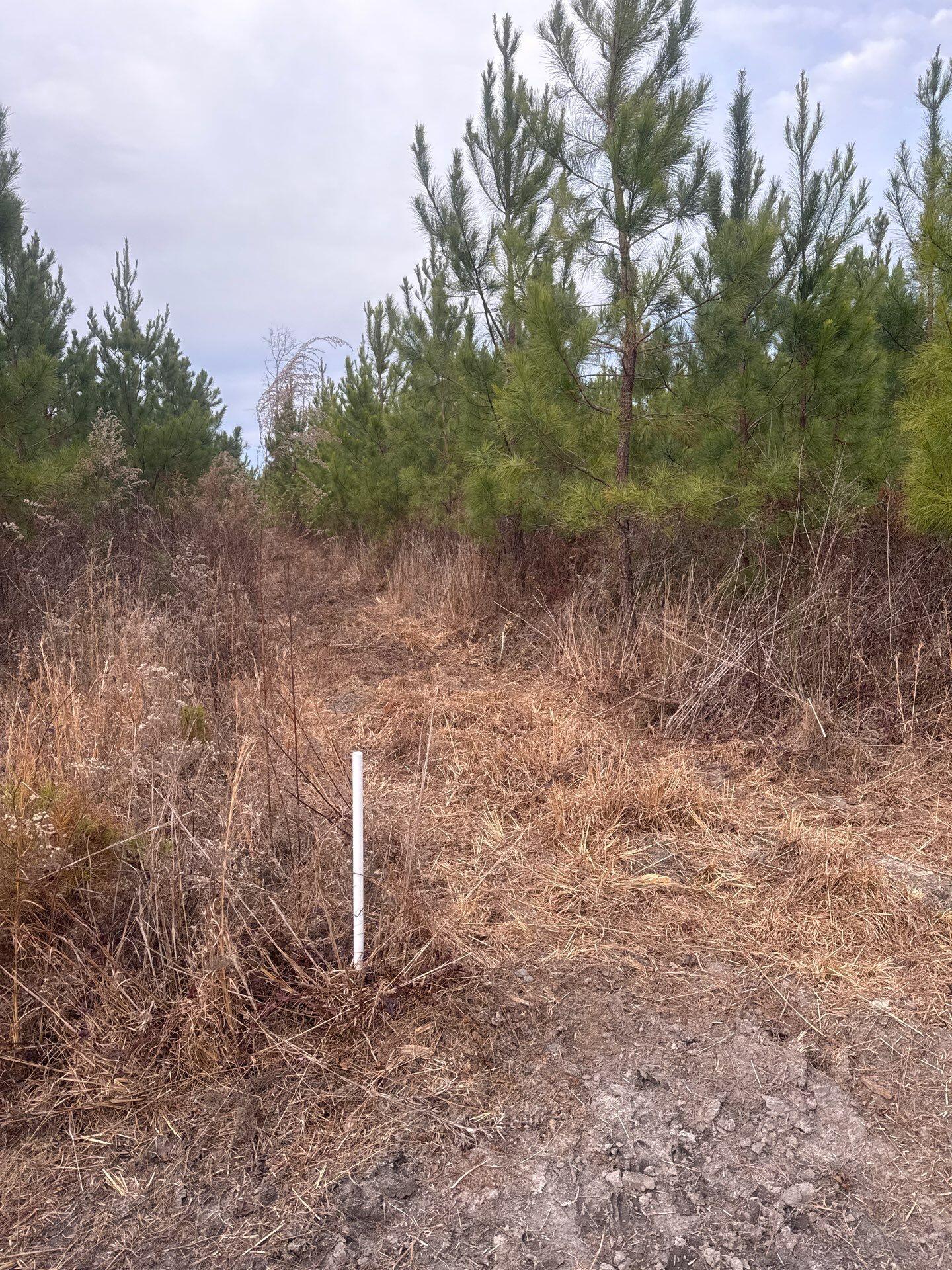 12 Nurnberg Dr Road, Unit QBF 12 Leesville, SC 29070 - Photo 8 of 16 2-Jan 02 2026 09_32pm-iqxE