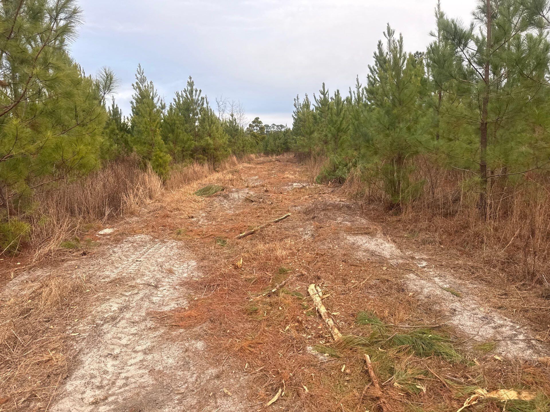 12 Nurnberg Dr Road, Unit QBF 12 Leesville, SC 29070 - Photo 9 of 16 1-Jan 02 2026 09_31pm-HbU8