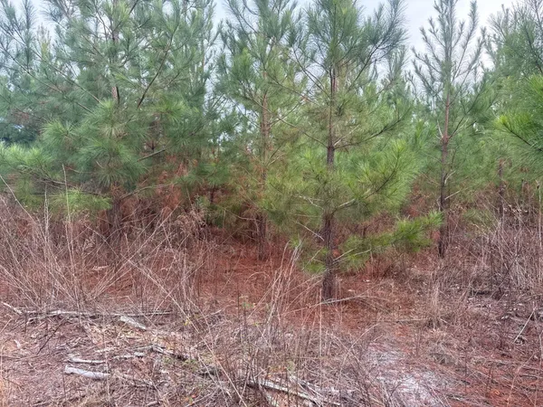 $89,900 | 12 Nurnberg Dr Road, Unit QBF 12, Leesville, SC 29070