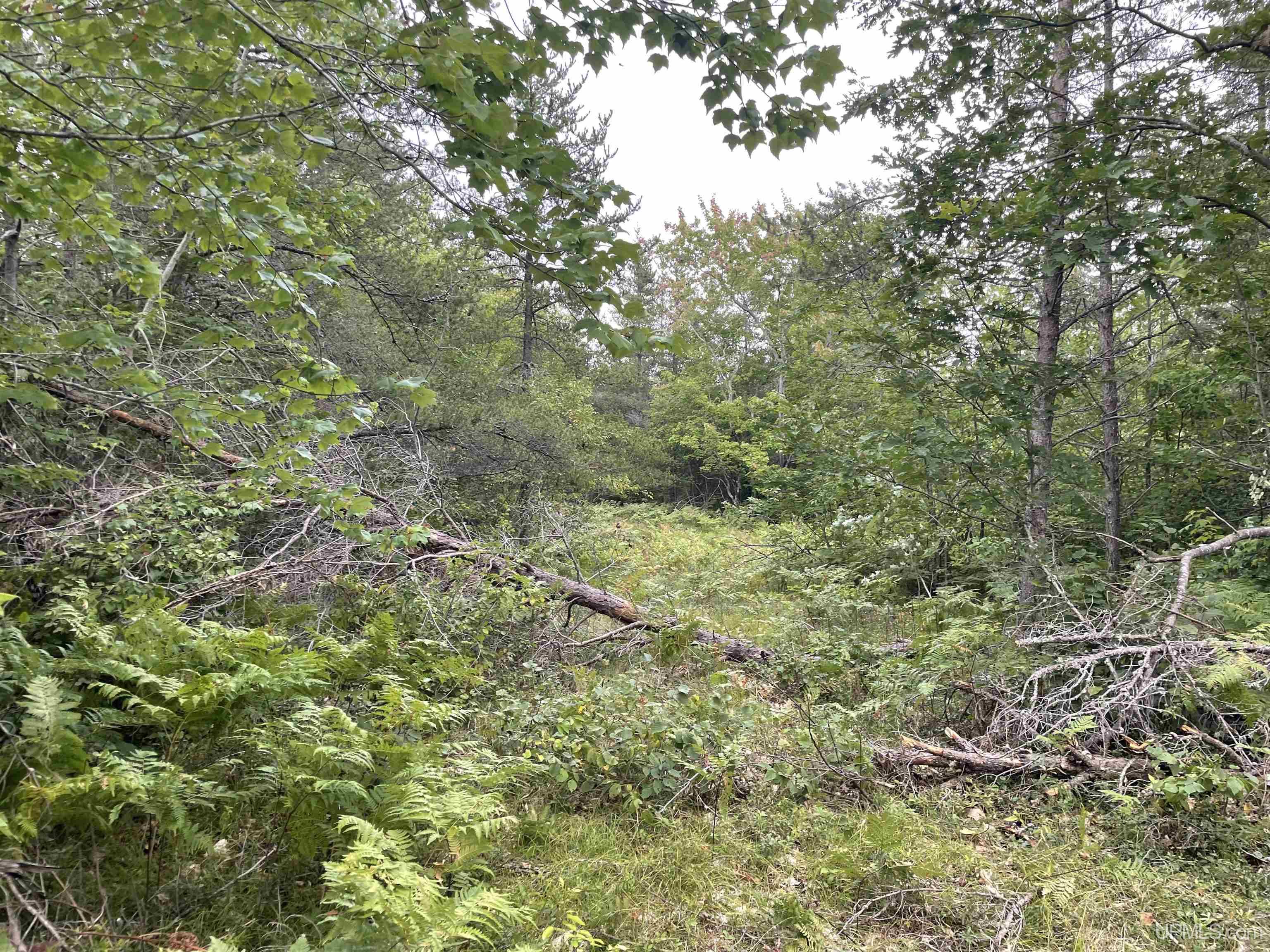 456 North Rd Little Lake Little Lake, MI 49833 - Photo 8 of 29