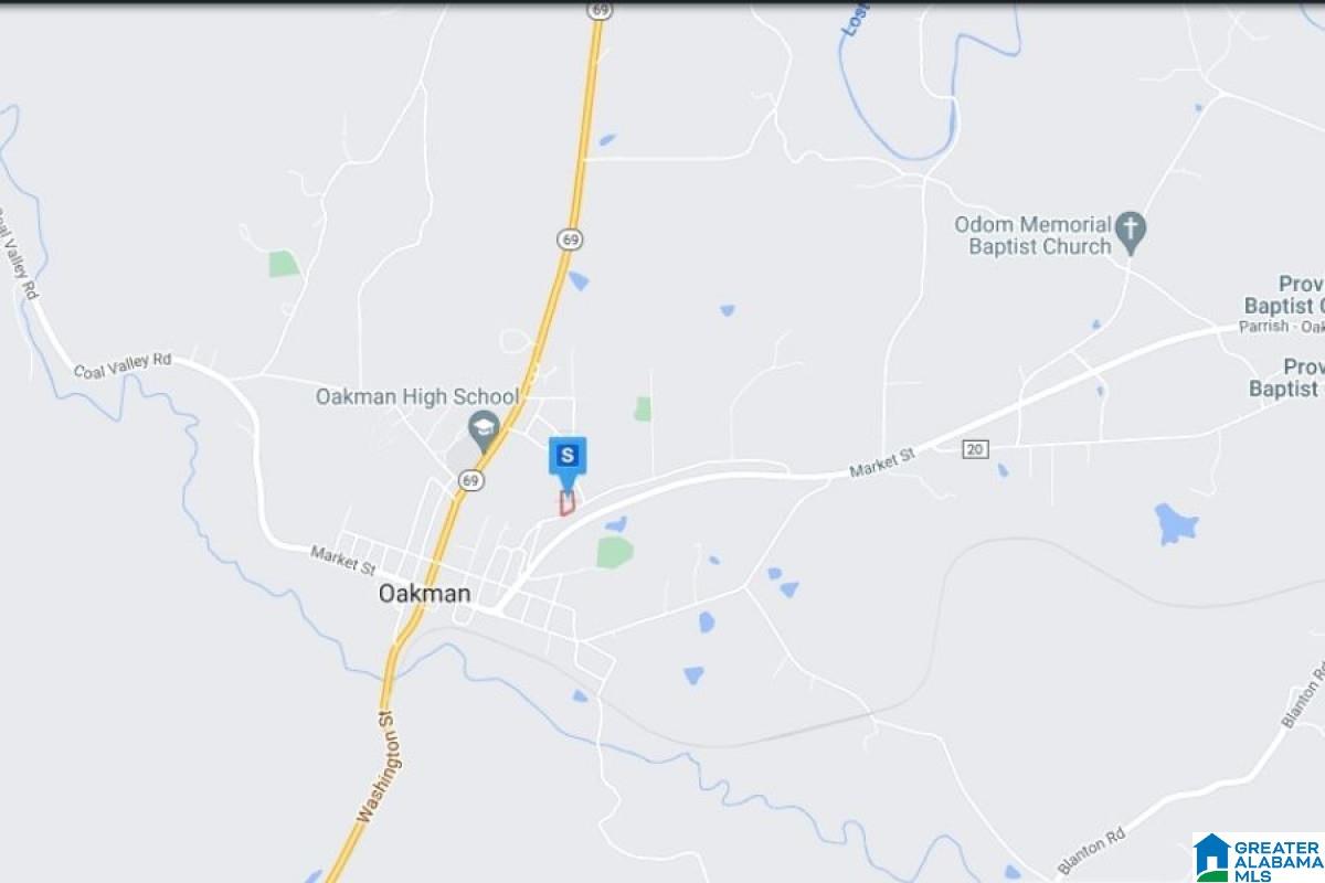 0 Fruit Jar Road Oakman, AL 35579 - Photo 3 of 6