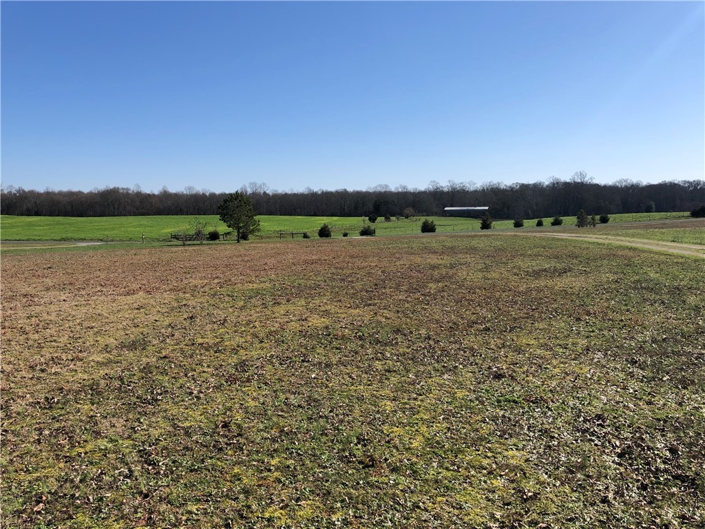 424 Andersonville Road Townville, SC 29689 - Photo 21 of 31 Gallery Image 21