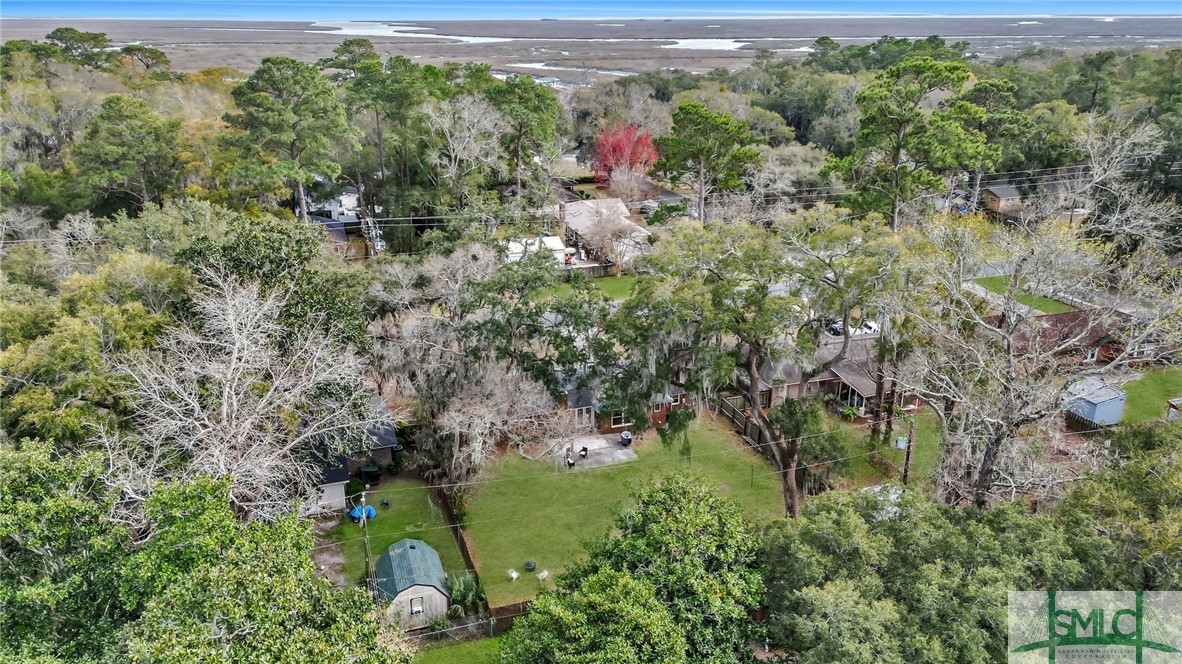 1617 Walthour Road Savannah, GA 31410 - Photo 36 of 38 Aerial view of backyard