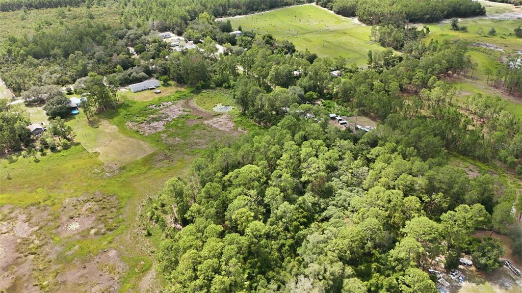 40404 Holly Branch Road Eustis, FL 32736 - Photo 37 of 38