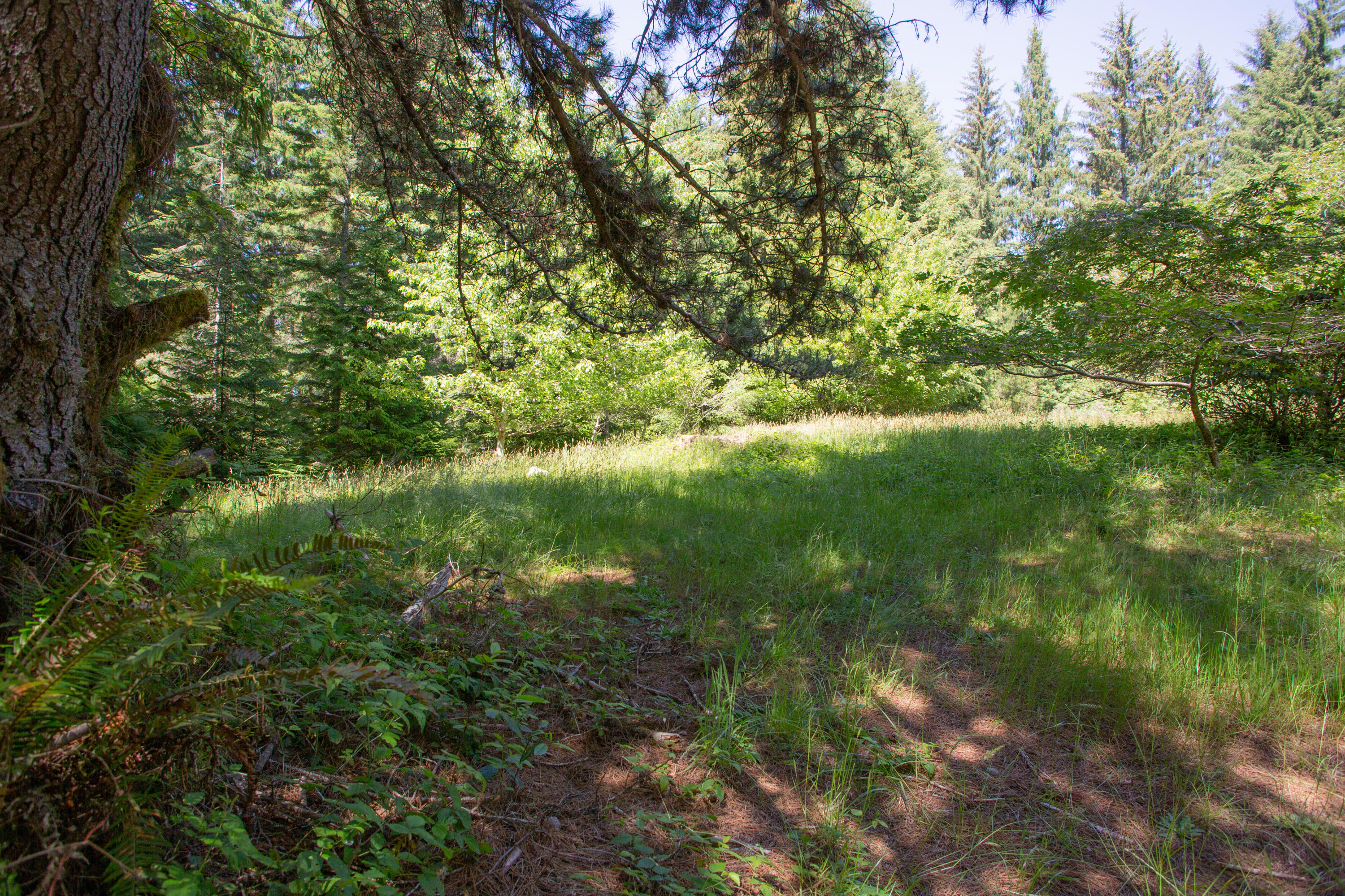 2095 Arthur Road McKinleyville, CA 95519 - Photo 3 of 29