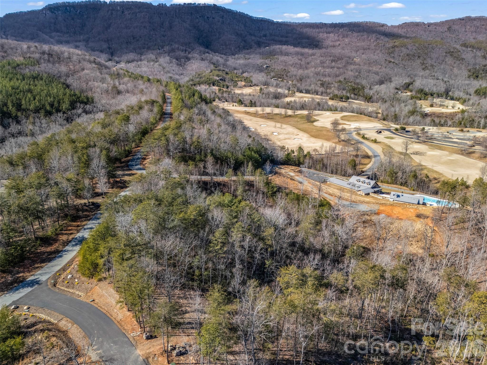 2002 Deep Gap Farm Road East Mill Spring, NC 28756 - Photo 15 of 33 a view of a houses with a yard