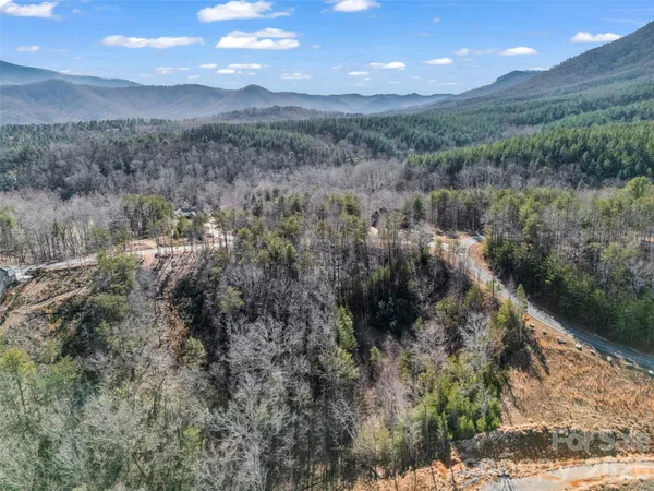 a view of a forest with mountains in the background