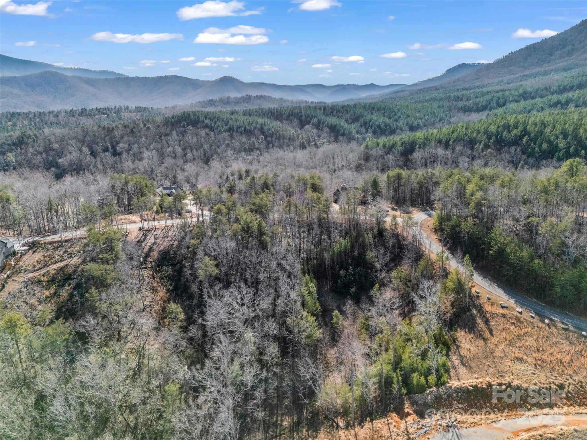 2002 Deep Gap Farm Road East Mill Spring, NC 28756 - Photo 17 of 26