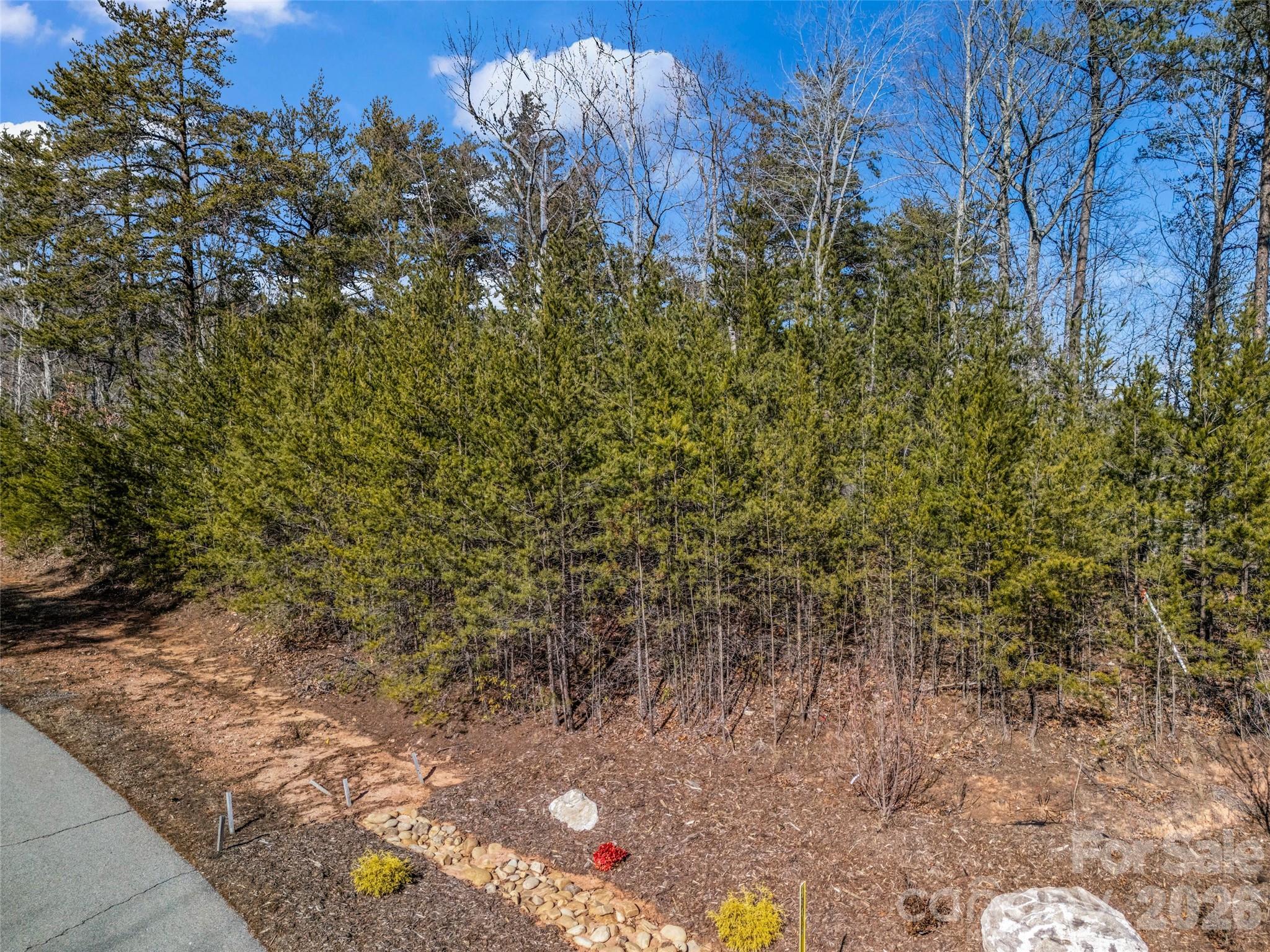 2002 Deep Gap Farm Road East Mill Spring, NC 28756 - Photo 20 of 33 a view of a forest with a tree