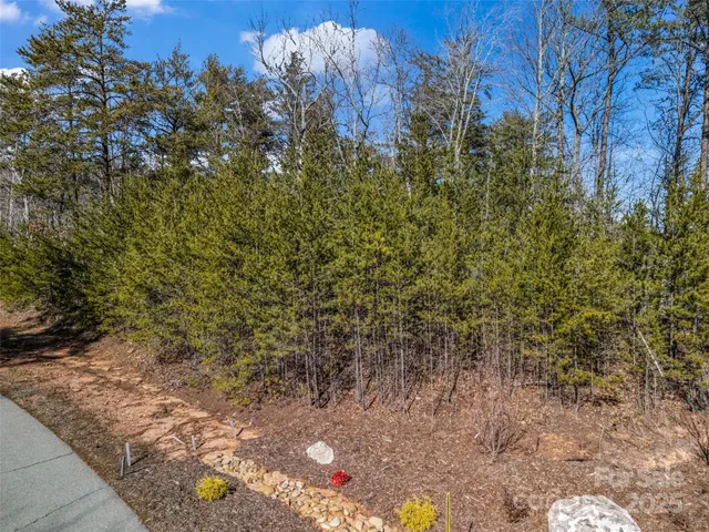 $145,000 | 2002 Deep Gap Farm Road East, Mill Spring, NC 28756