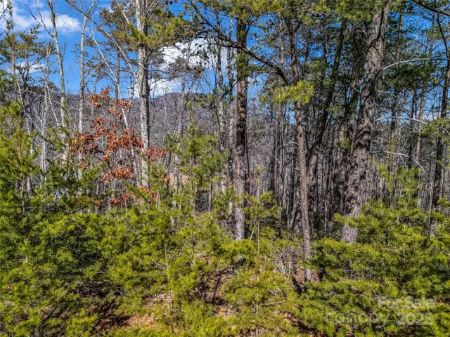 $145,000 | 2002 Deep Gap Farm Road East, Mill Spring, NC 28756