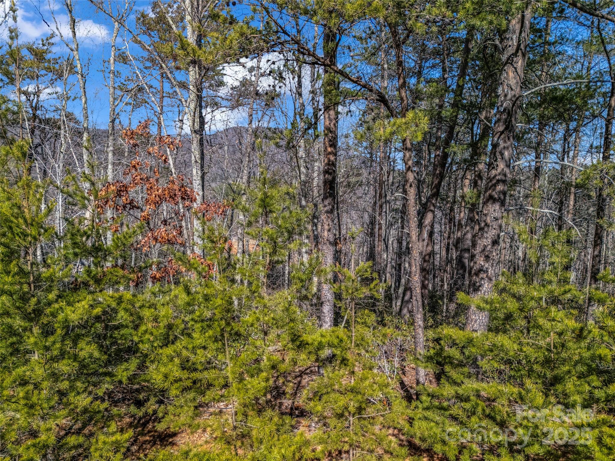 2002 Deep Gap Farm Road East Mill Spring, NC 28756 - Photo 21 of 26