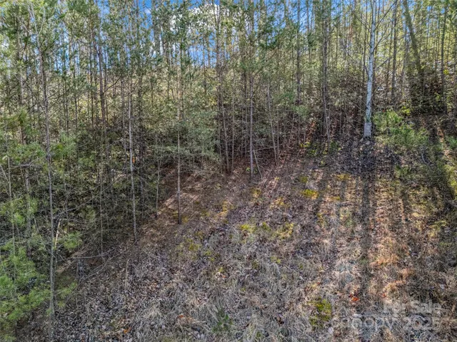 $145,000 | 2002 Deep Gap Farm Road East, Mill Spring, NC 28756