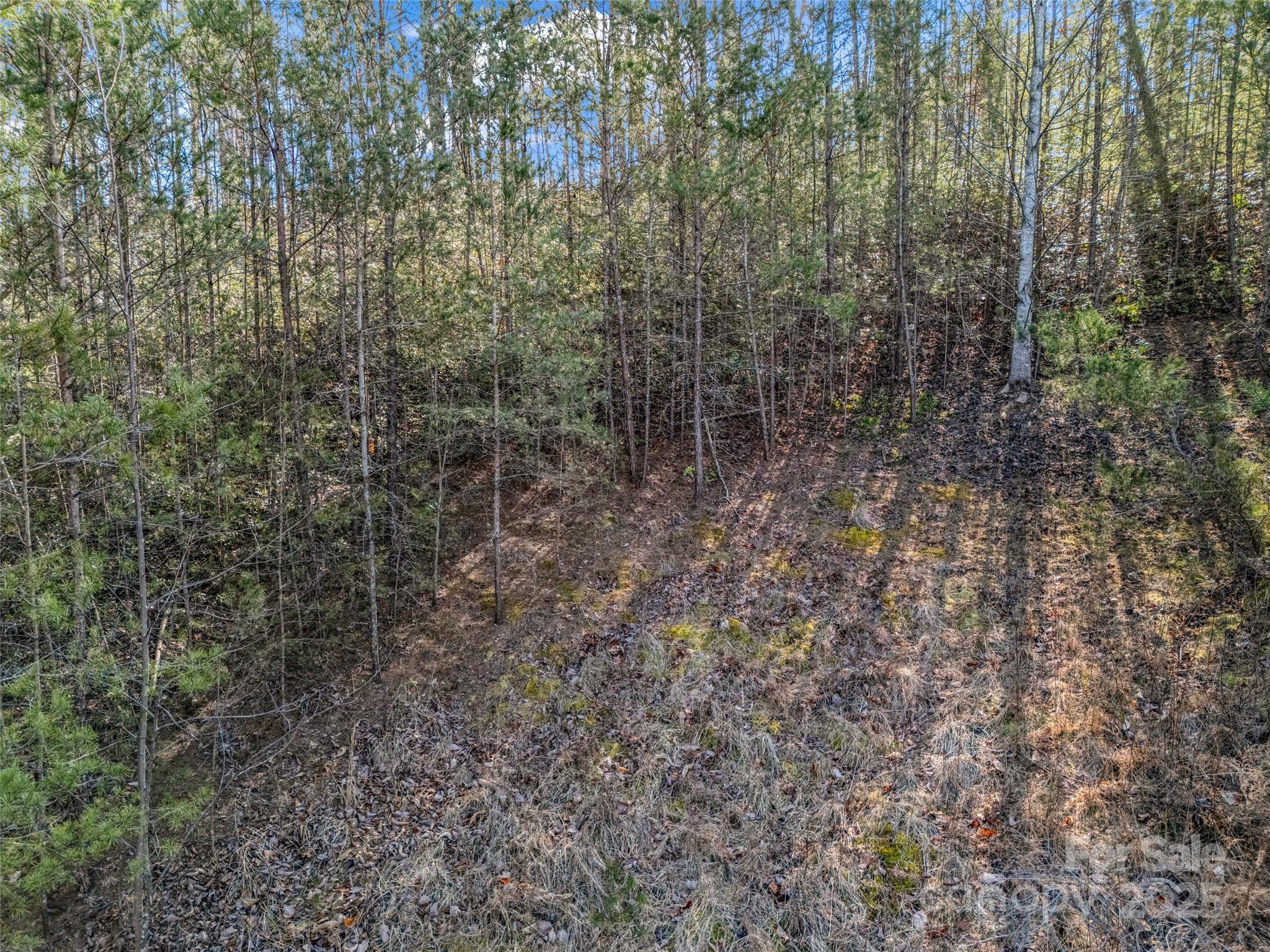 2002 Deep Gap Farm Road East Mill Spring, NC 28756 - Photo 22 of 26