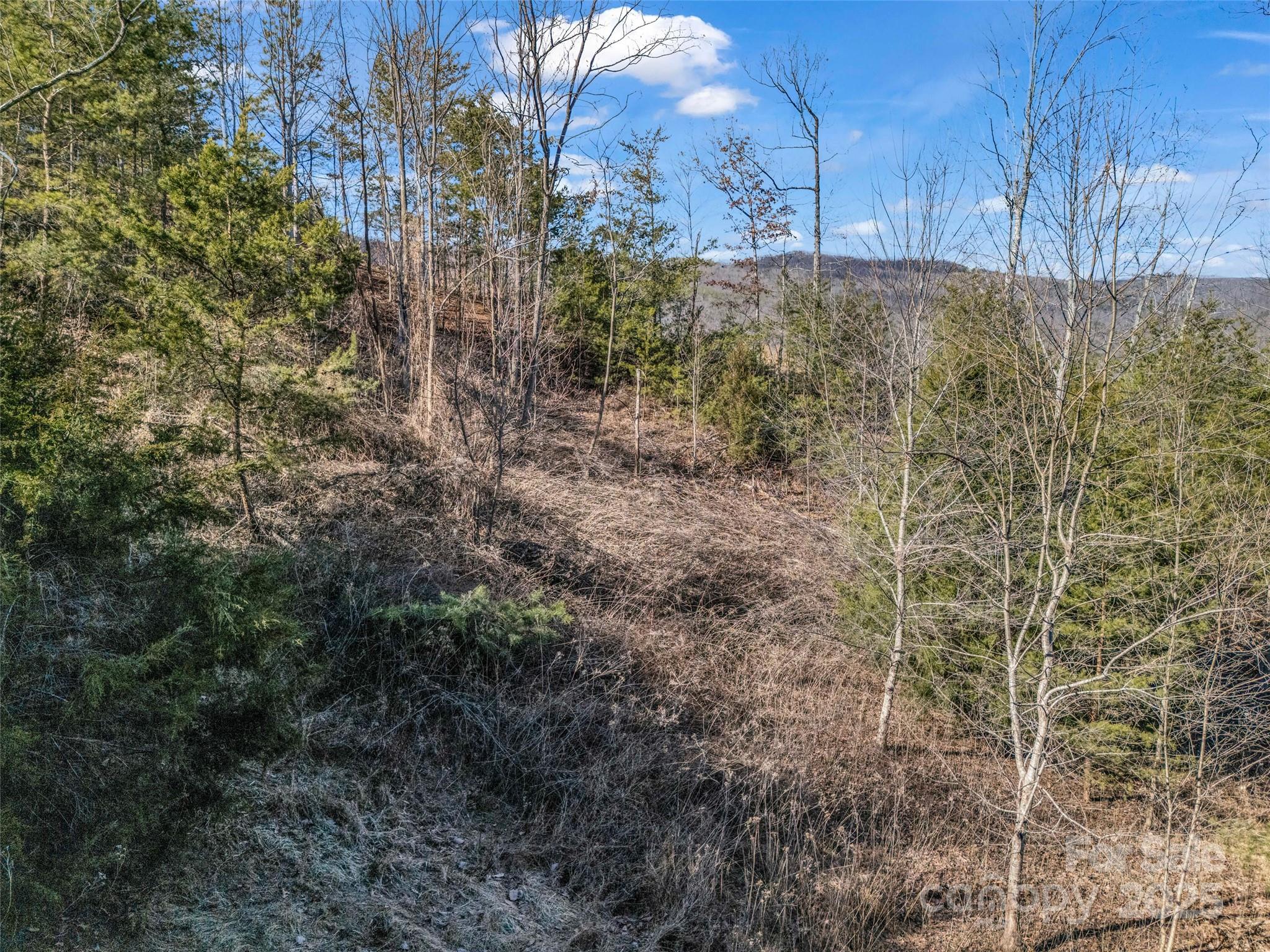 2002 Deep Gap Farm Road East Mill Spring, NC 28756 - Photo 23 of 26