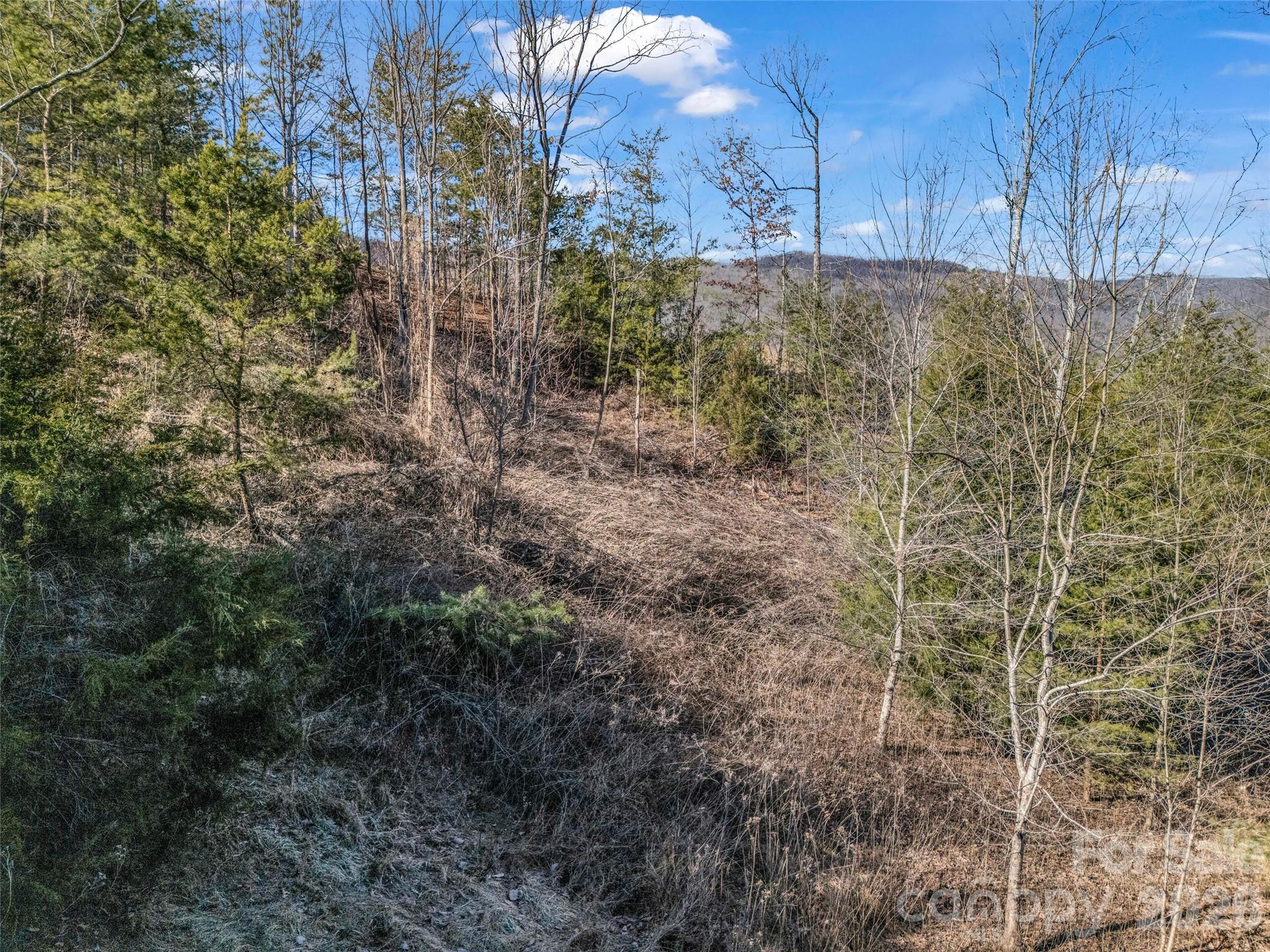 2002 Deep Gap Farm Road East Mill Spring, NC 28756 - Photo 23 of 33 a view of a yard