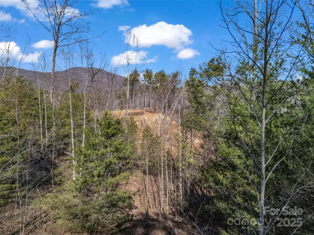 $145,000 | 2002 Deep Gap Farm Road East, Mill Spring, NC 28756