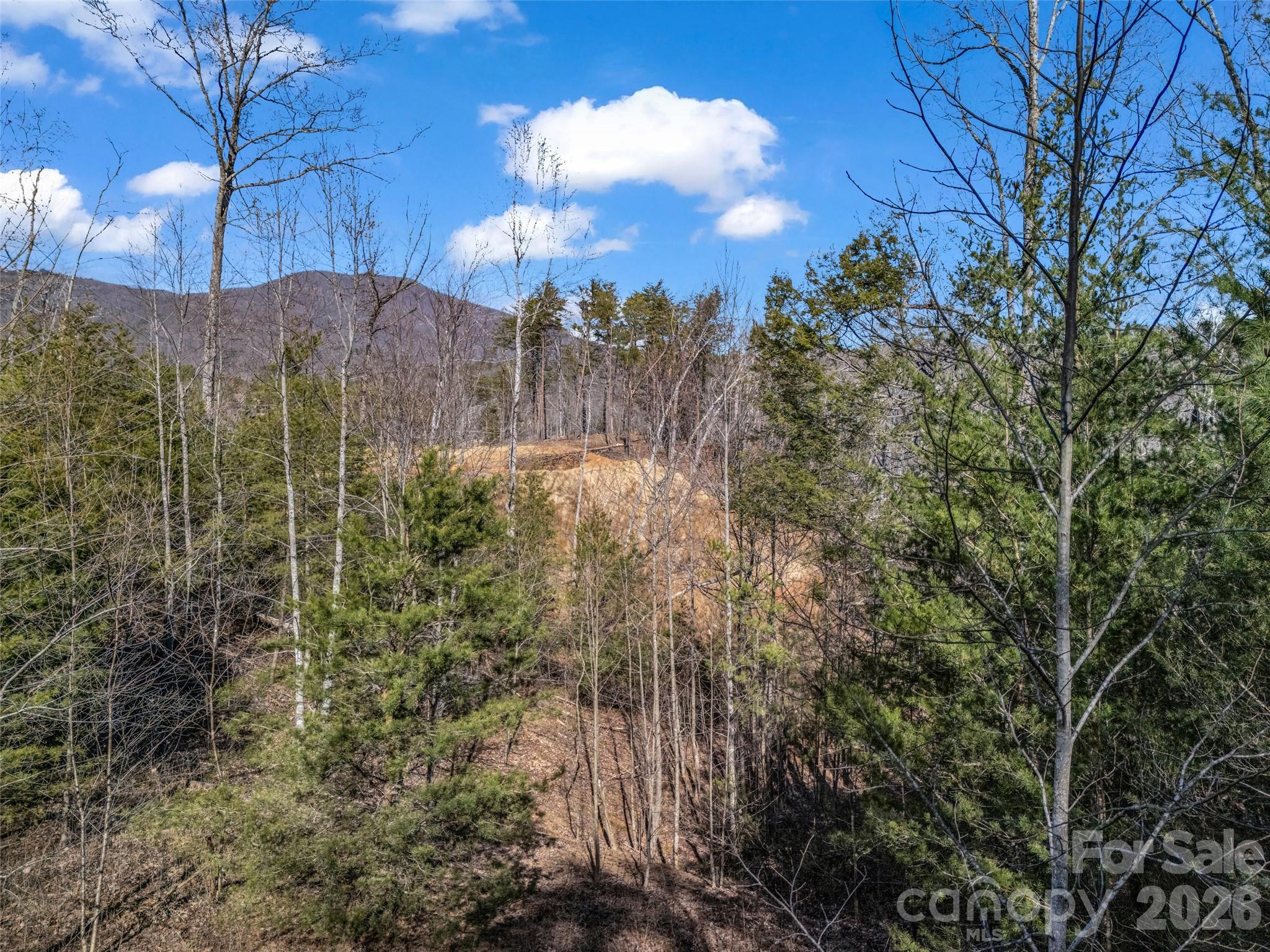 2002 Deep Gap Farm Road East Mill Spring, NC 28756 - Photo 24 of 33 a view of a yard