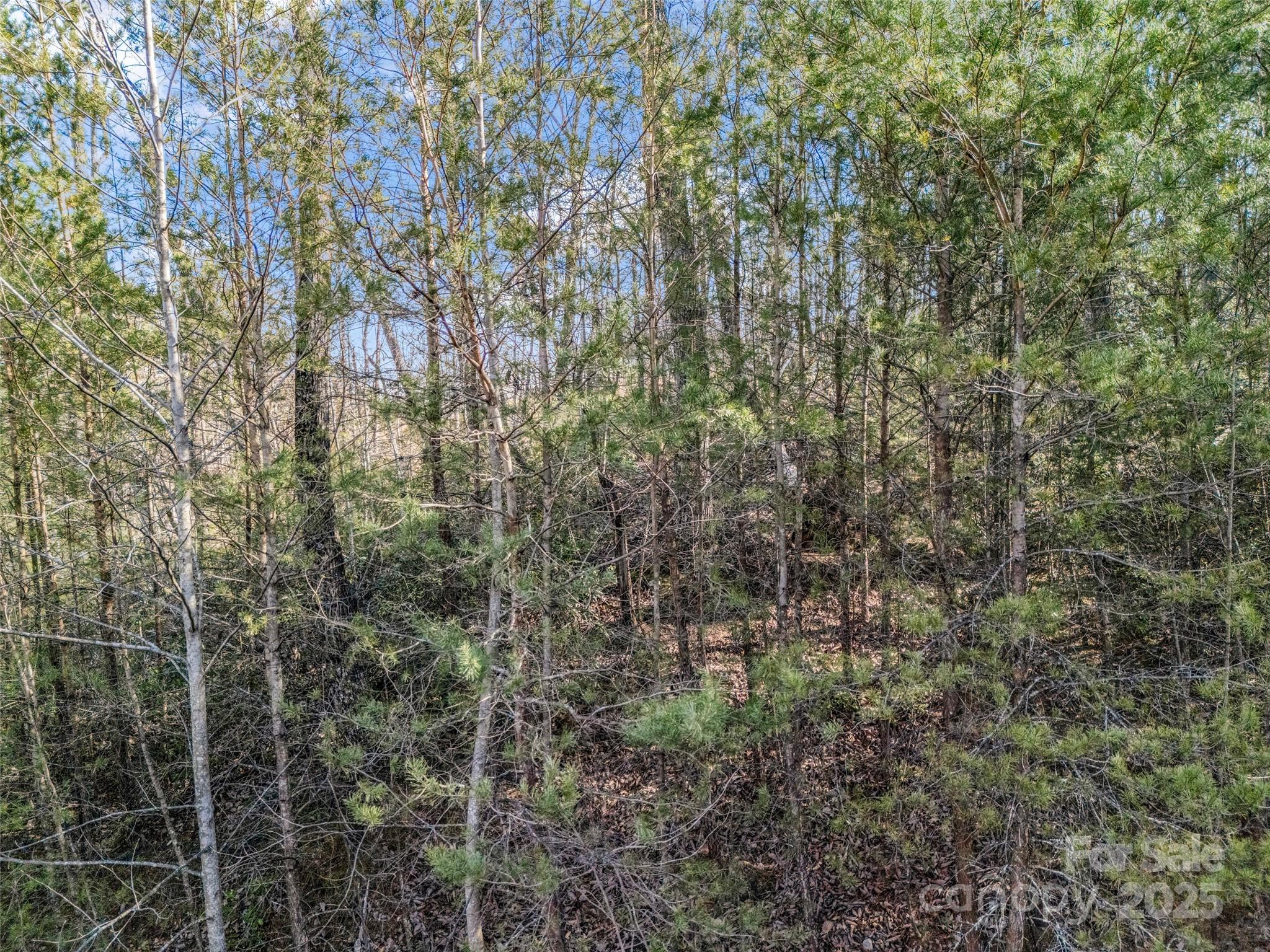 2002 Deep Gap Farm Road East Mill Spring, NC 28756 - Photo 25 of 26