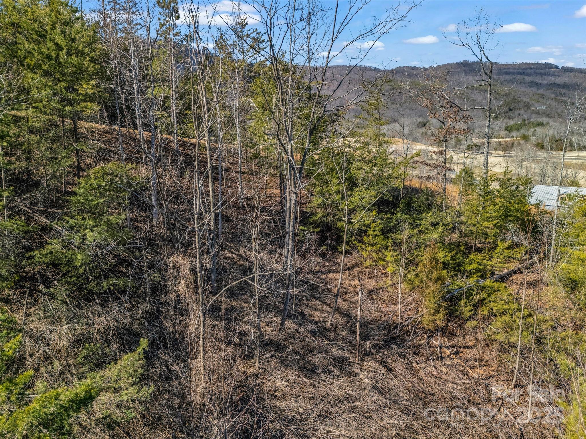2002 Deep Gap Farm Road East Mill Spring, NC 28756 - Photo 26 of 26