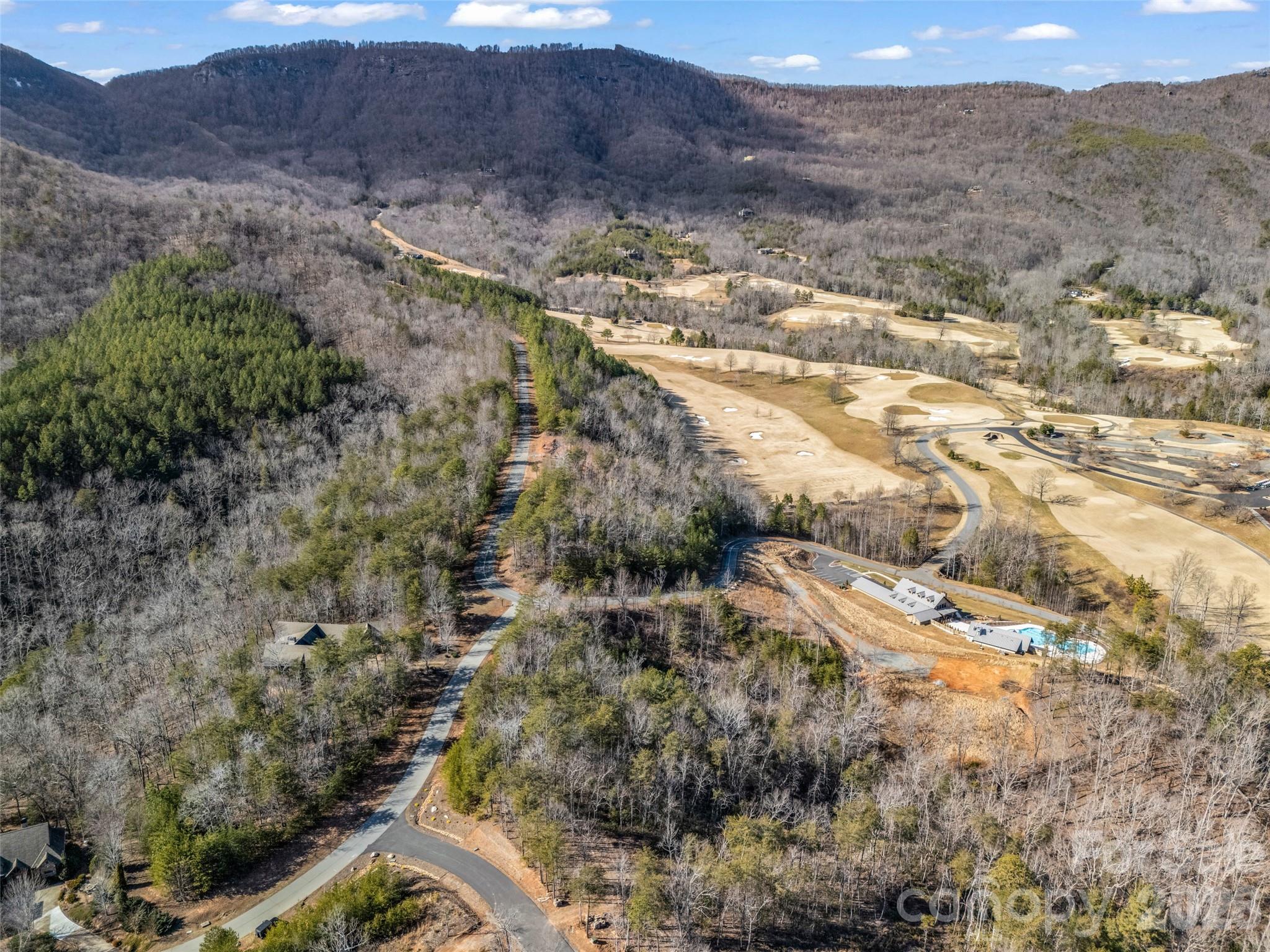 2002 Deep Gap Farm Road East Mill Spring, NC 28756 - Photo 6 of 33 a view of outdoor space and mountain view