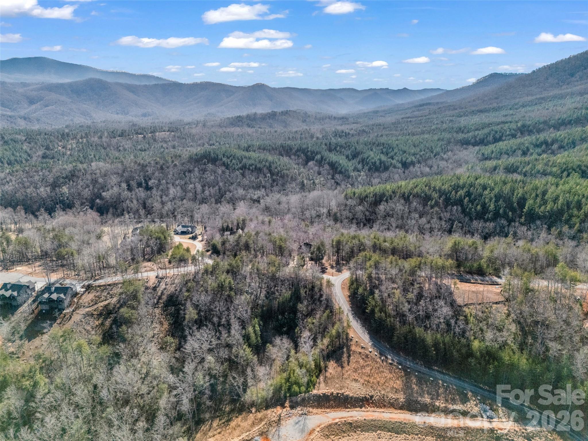 2002 Deep Gap Farm Road East Mill Spring, NC 28756 - Photo 9 of 33 a view of a city