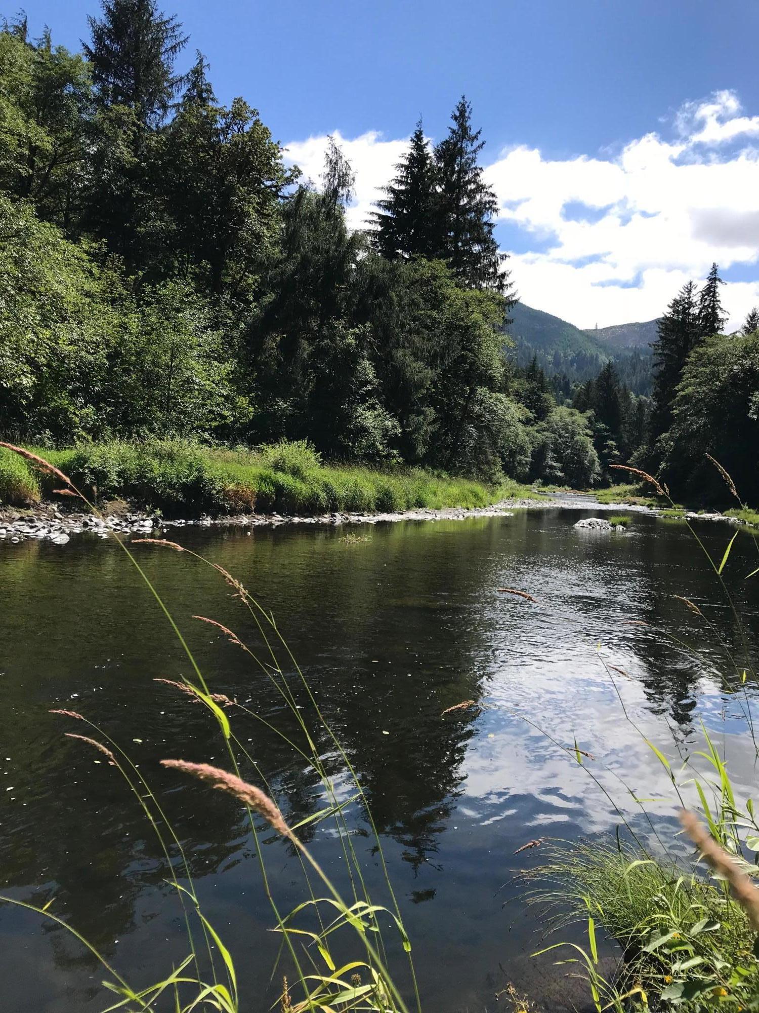 Vl Vl Trask River Road Tillamook, OR 97141 - Photo 2 of 10 IMG-4667