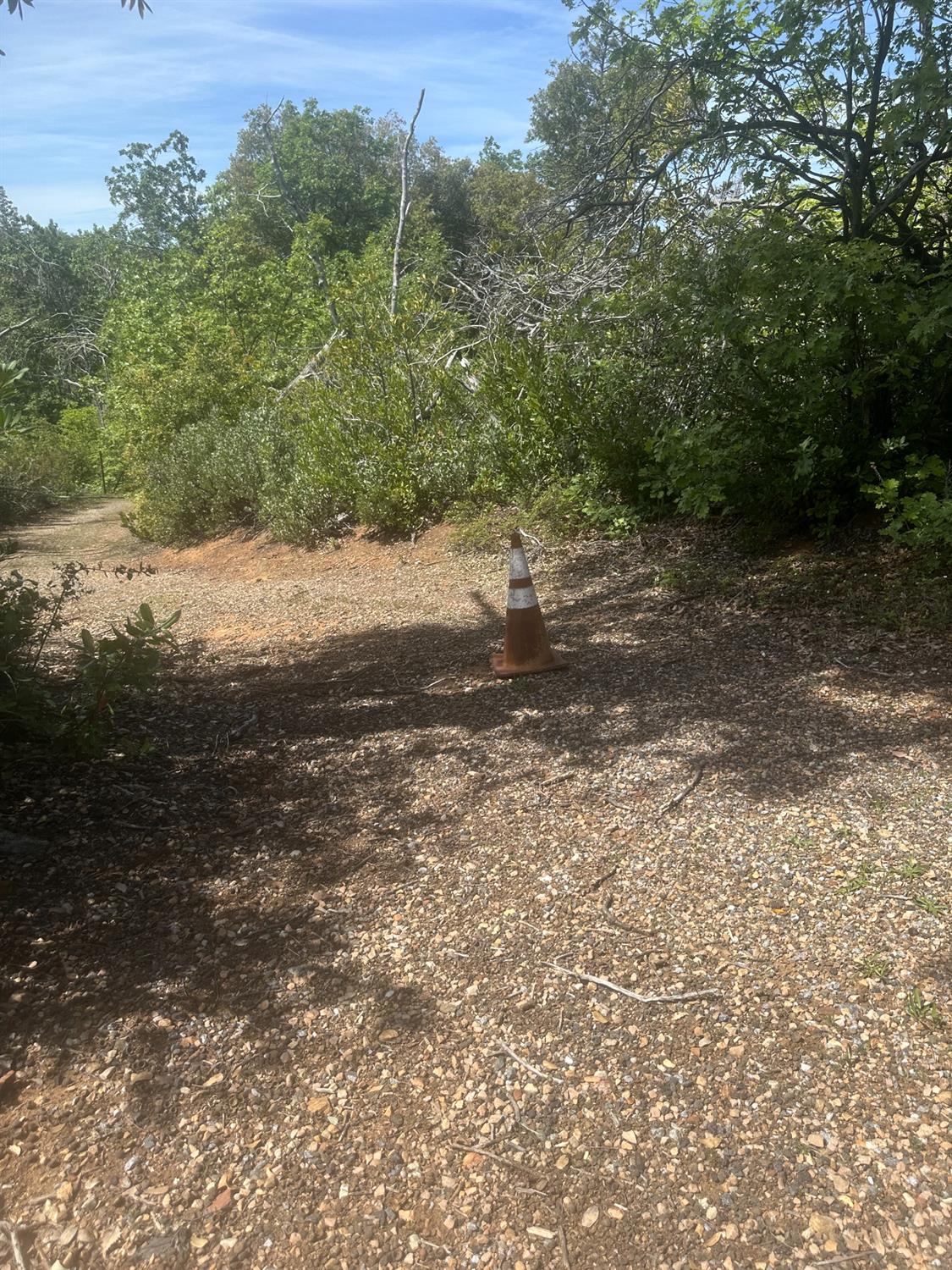 7256 Nikki Mountain Ranch Mountain Ranch, CA 95246 - Photo 3 of 3